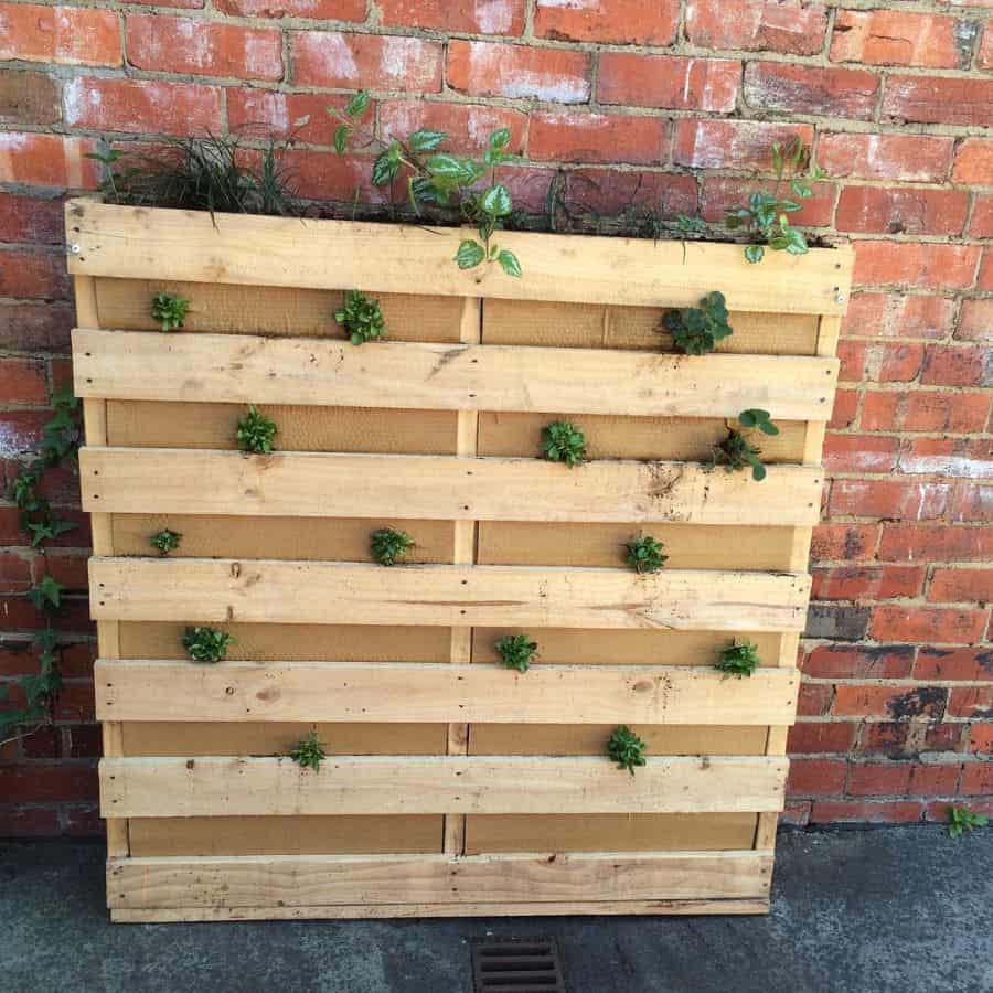 vertical freestanding pallet planter garden