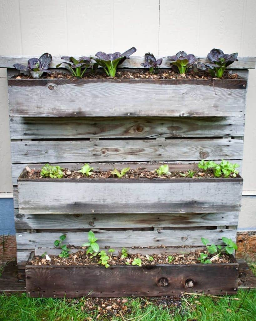 freestanding pallet planter garden