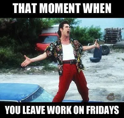 friday-memes-18