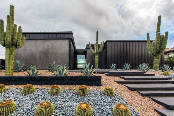 modern front yard desert landscape saguaro cactus 
