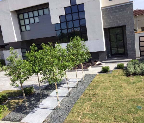 tree-lined gravel path