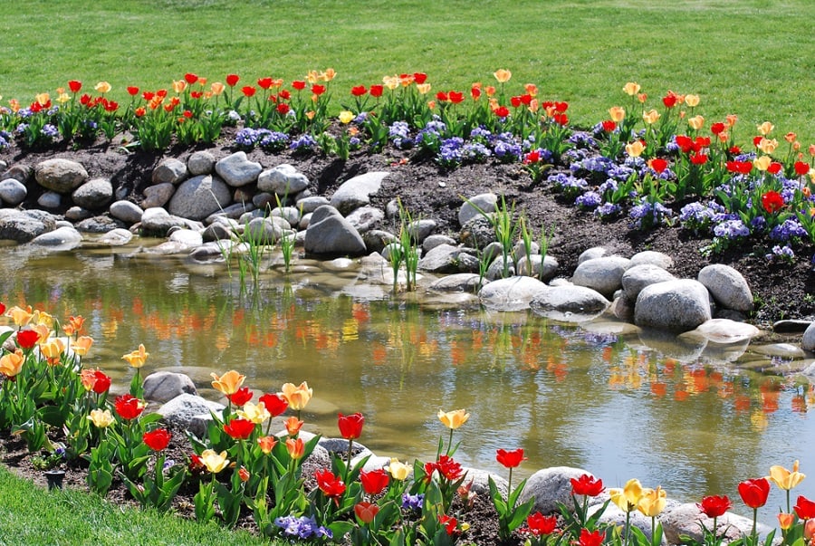 stony riverbed landscape