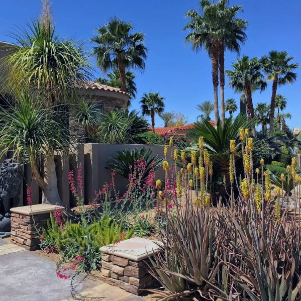 lush desert landscape front garden 
