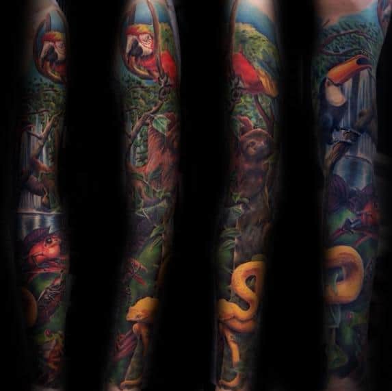 Full Arm Sleeve Tropical Themed Tree Frog Tattoo Design Ideas For Males