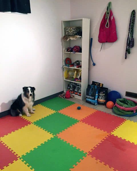 colorful floor dog room shelves dog food and toys