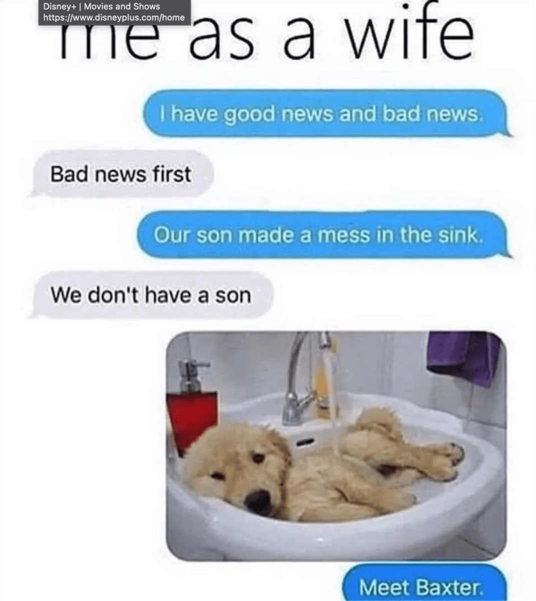 funny-dating-memes-him-and-her-11