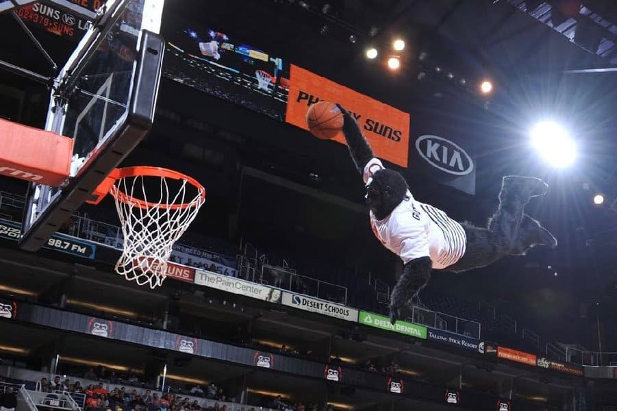 funny-moments-in-sport-image-7