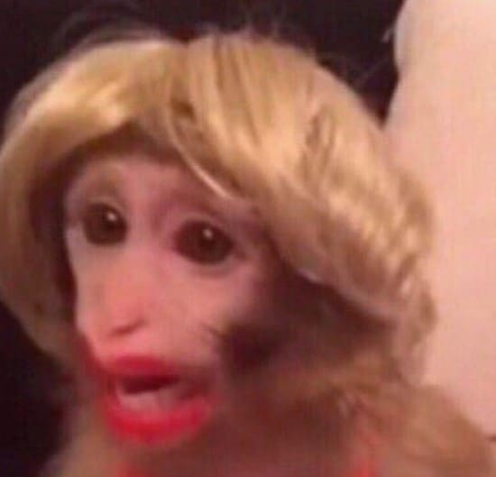 funny-profile-pictures-9