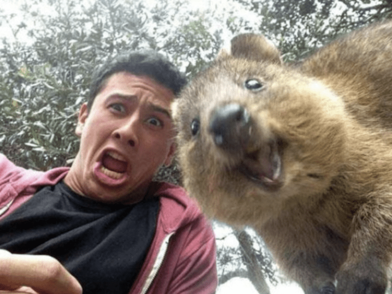 funny-selfies-19