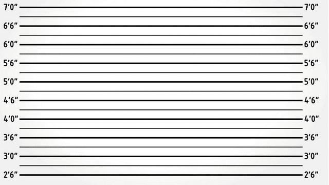 funny-zoom-backgrounds-11