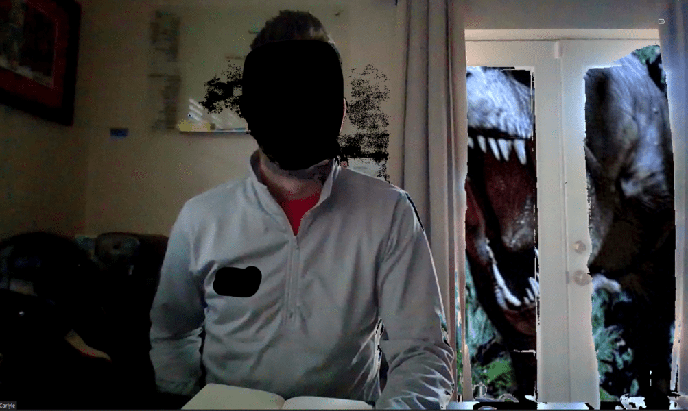 funny-zoom-backgrounds-14