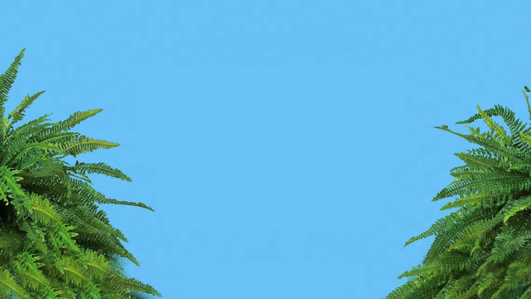 funny-zoom-backgrounds-33