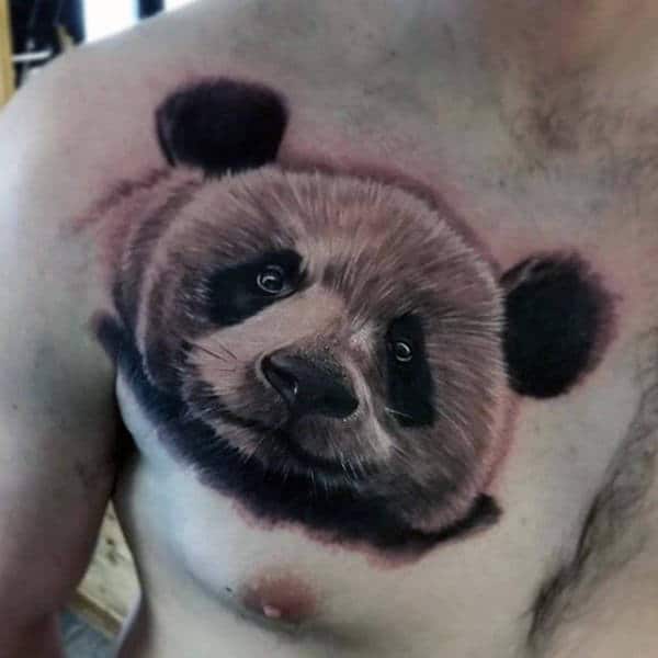 Furry Panda Bear Mens Upper Chest Tattoo With Realistic Design