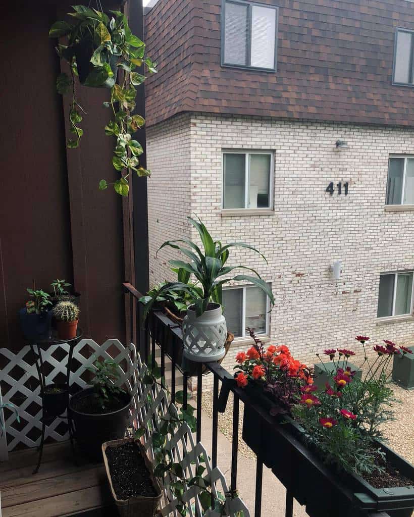 Small apartment balcony with hanging and railing potted plants, including flowers and greenery.