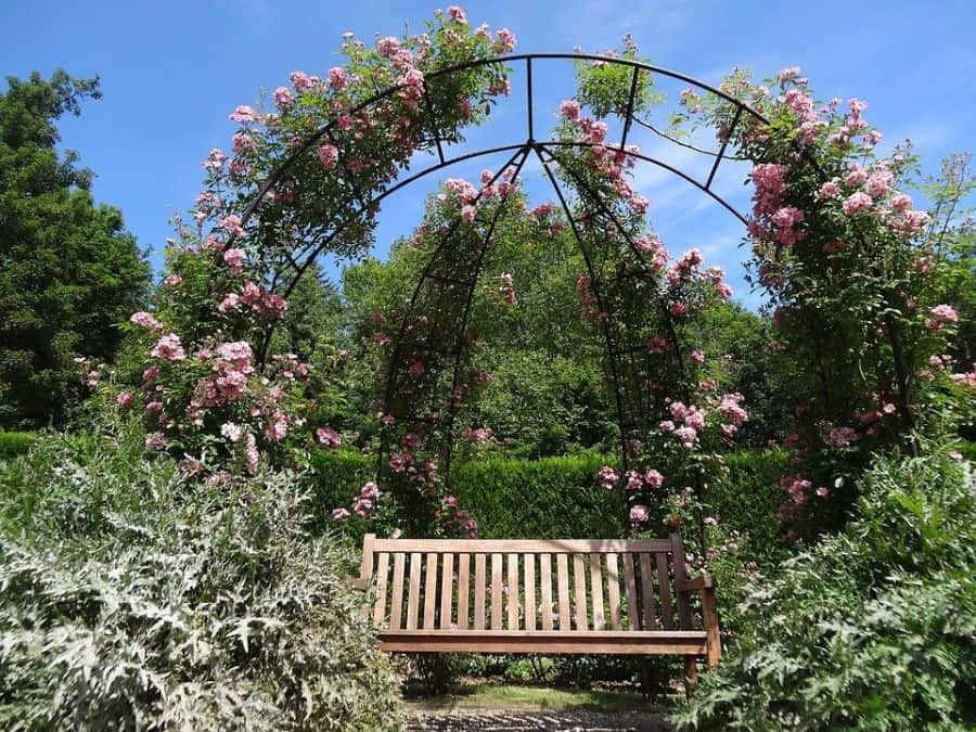 garden arch with pink flowers wood garden bench
