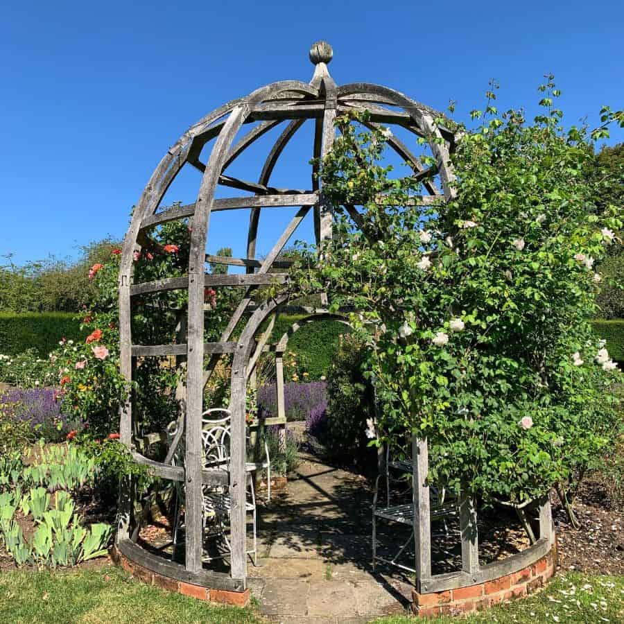 wood gazebo with vining plants backyard