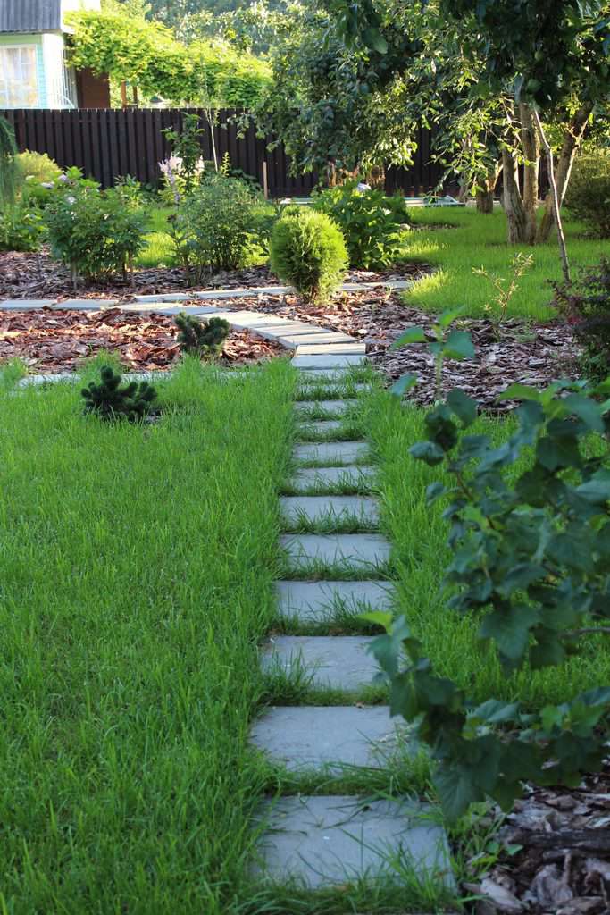 paved pathway in backyard garden 