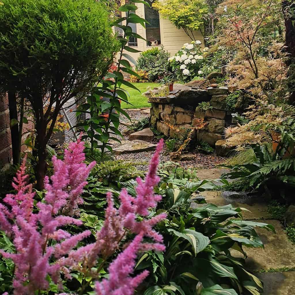 garden path shade garden