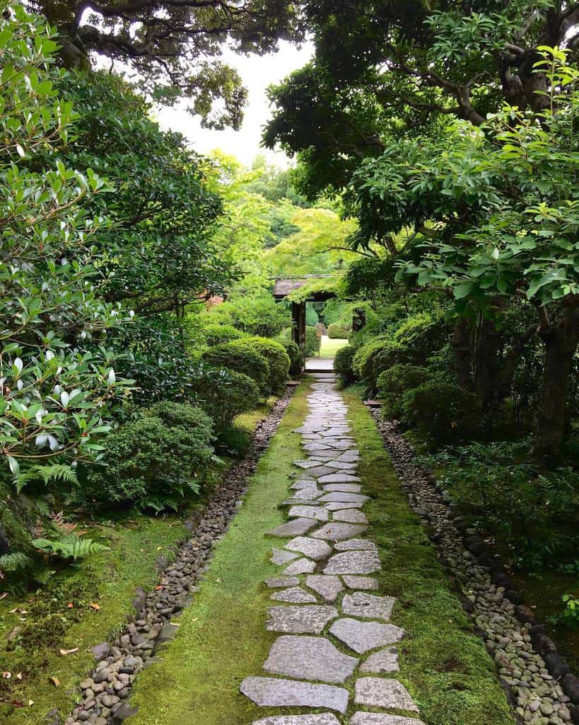 paved garden path in leafy backyard 