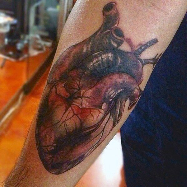 Anatomical heart tattoo on the forearm with deep red and purple tones, showing realistic veins and artery details.