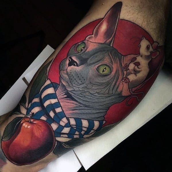Bold neo-traditional tattoo of a Sphynx cat wearing a striped scarf, with a mouse on its shoulder and a red apple for a striking design.