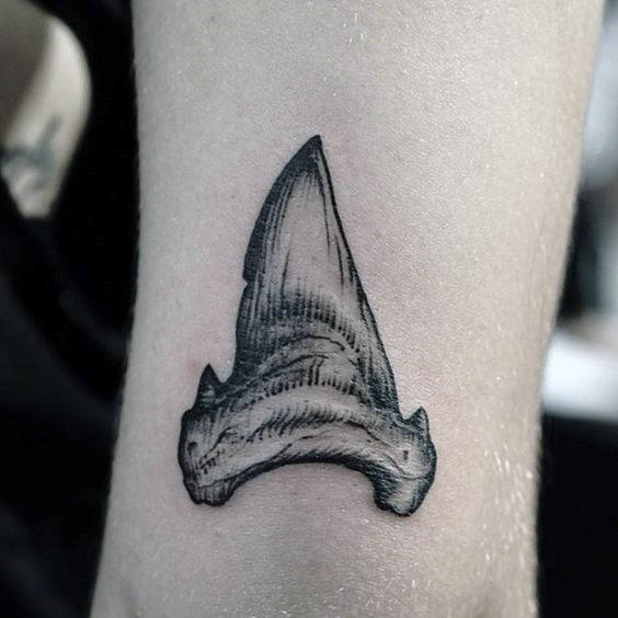 Gentleman With Detailed Shark Tooth Lower Leg Tattoo