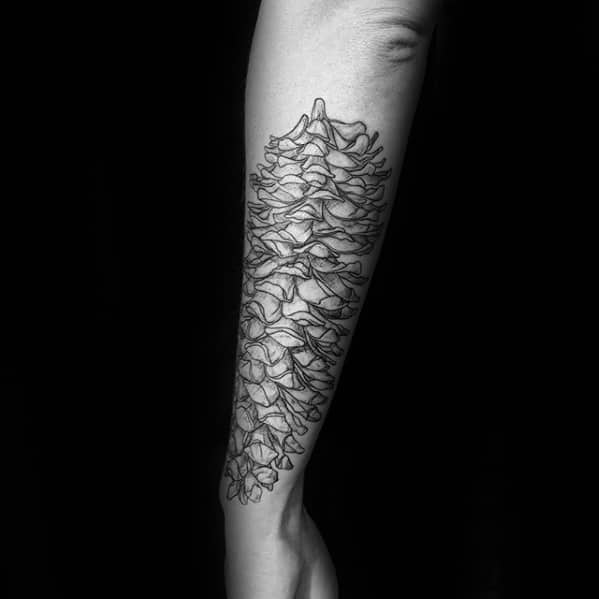 Gentleman With Full Forearm Pine Cone Tattoo Design