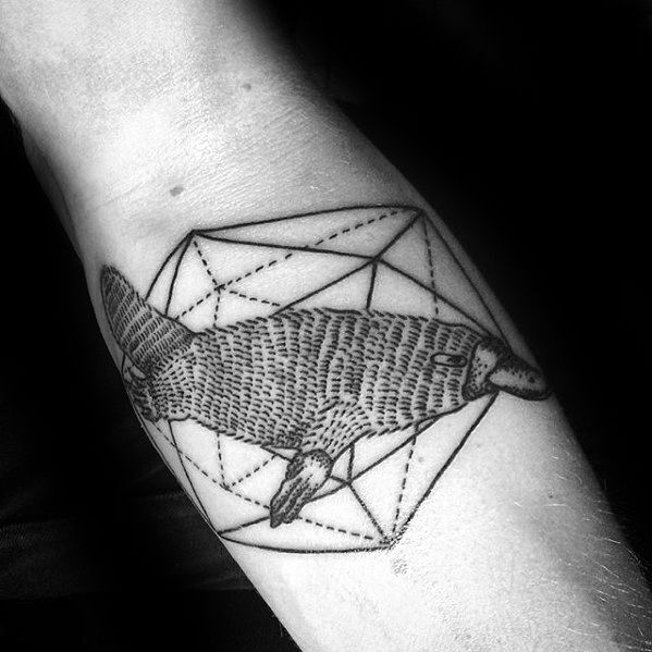 Gentleman With Geometric Platypus Inner Forearm Tattoo
