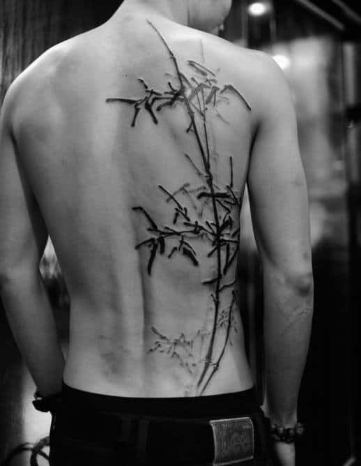 Gentleman With Japanese Bamboo Tree Back Tattoo