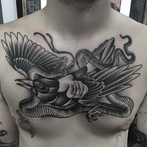 Bold black and gray chest tattoo featuring a magpie in flight entangled with a snake, symbolizing struggle, resilience, and power.