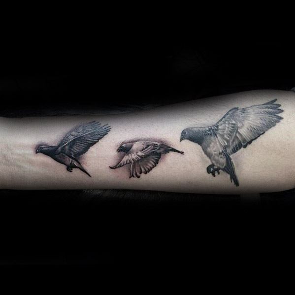 Realistic pigeon tattoo on forearm showing three stages of flight, symbolizing freedom, movement, and transformation.