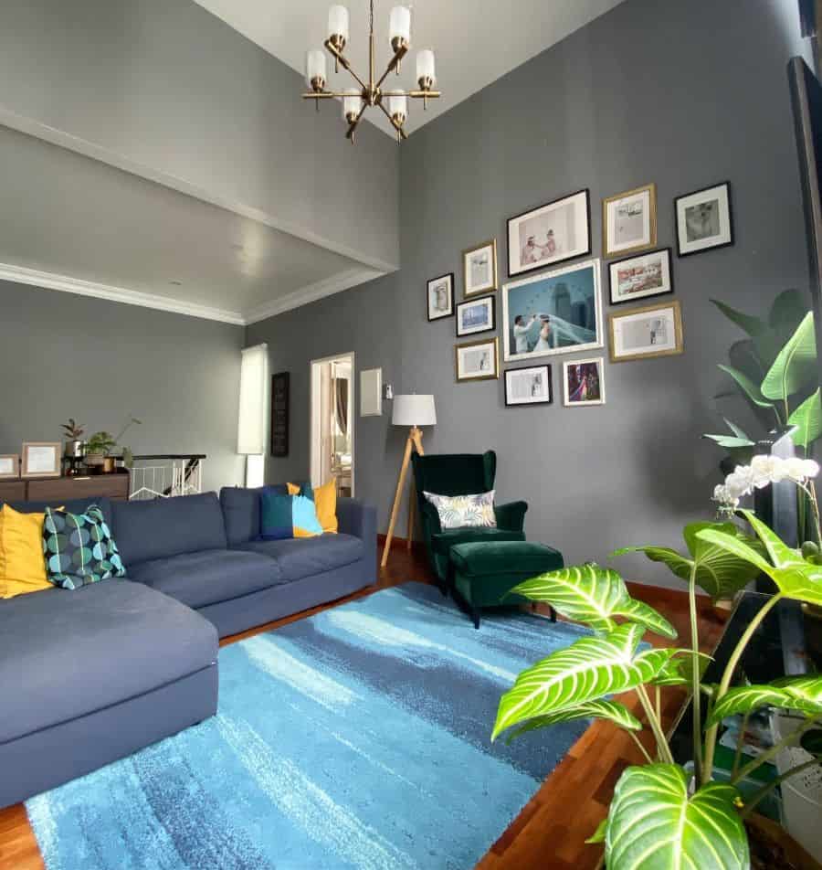 Modern living room with a blue rug, gray sectional sofa, a gallery wall, and plants in the corner