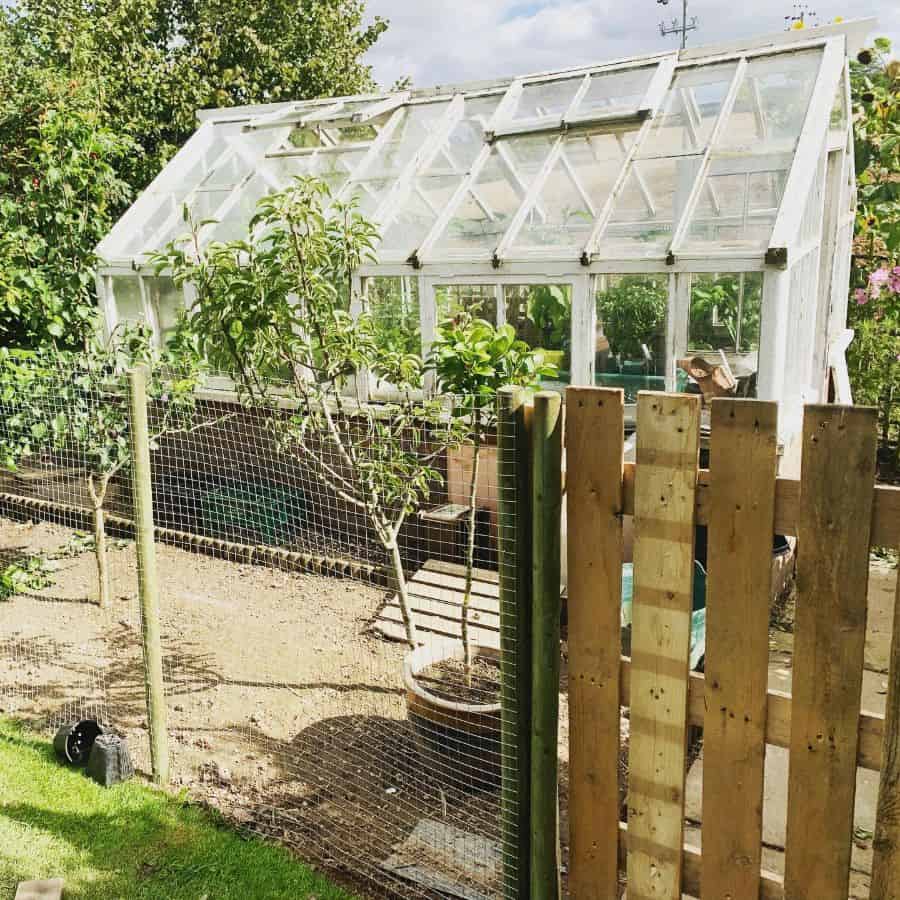 white glass greenhouse wire mesh fence wood gate