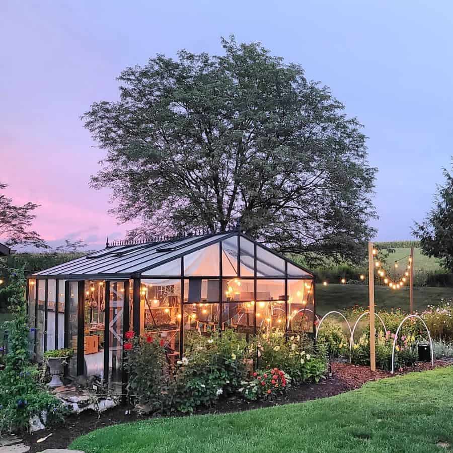 black frame glass greenhouse string lighting roses