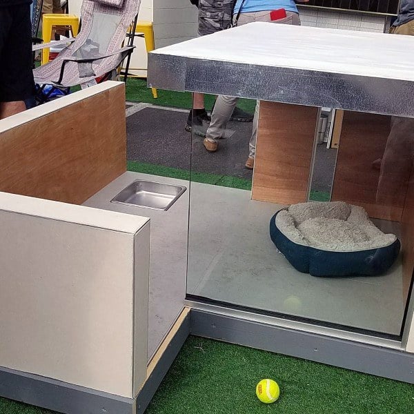 Modern dog house with glass walls, a comfy bed inside, a water bowl, and a tennis ball on the floor, set in a grassy area