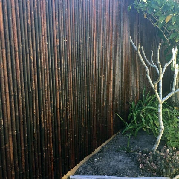 Straight dark bamboo fence in a minimalist garden with a small tree and plants along the base.