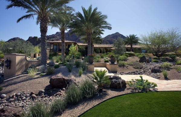 desert home with large palm tree front lawn