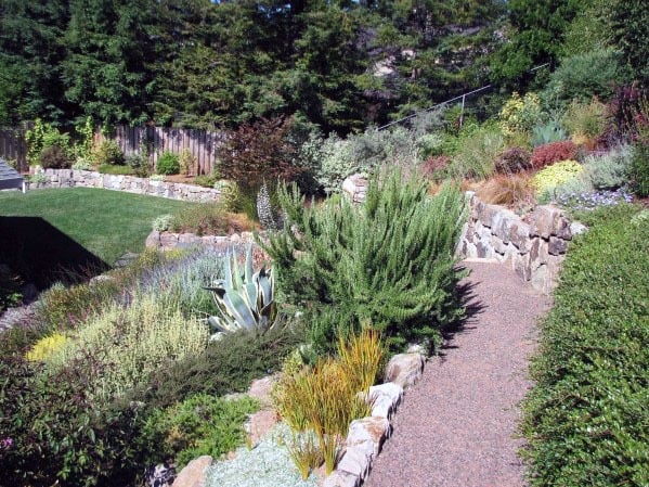 Sloped backyard with a gravel pathway, terraced stone retaining walls, and a variety of lush plants and shrubs for a natural look