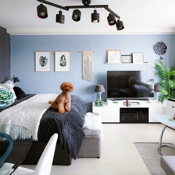 Modern studio with blue accent wall, cozy bed, large TV unit, and vibrant greenery.