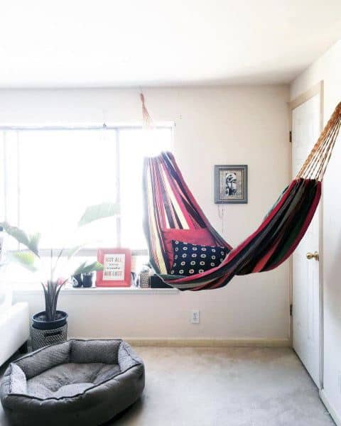 Colorful striped hammock in a bright room with plants and cozy decorative accents.