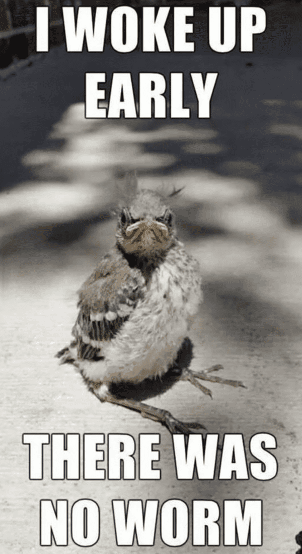 good-morning-memes-13