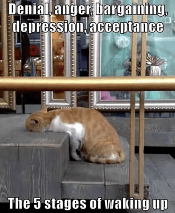 good-morning-memes-3