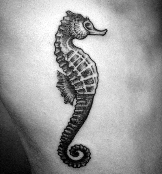 Black and grey seahorse tattoo on the side of the torso, featuring fine shading and intricate details for a realistic and elegant design.