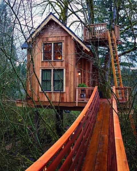A wooden treehouse with large windows and a bridge surrounded by leafy trees
