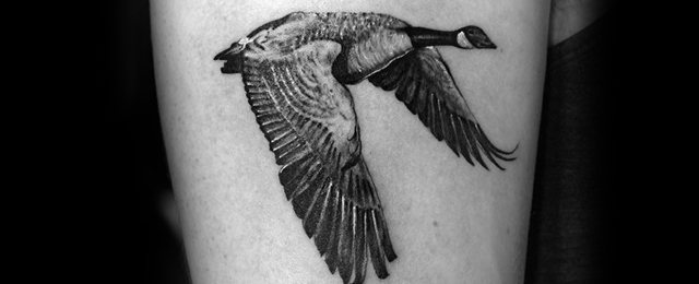 Goose Tattoo Ideas For Men
