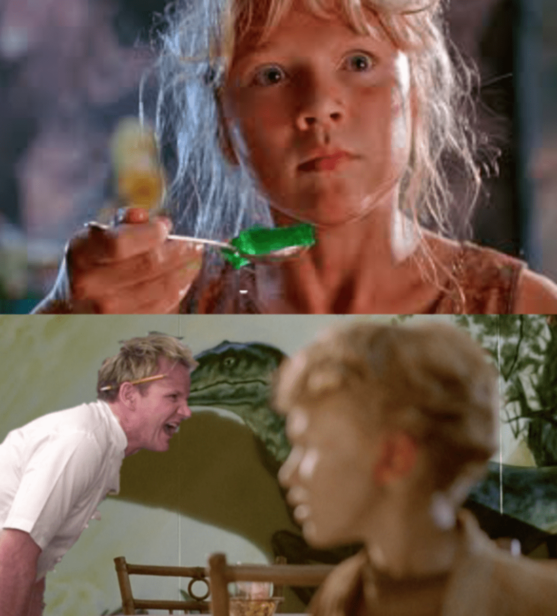 gordon-ramsay-memes-1