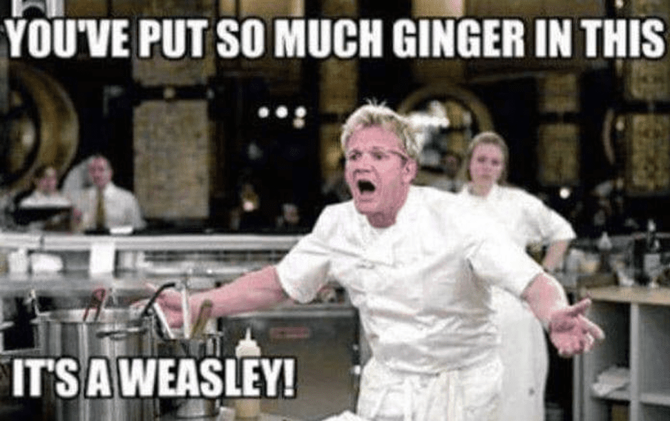 gordon-ramsay-memes-11