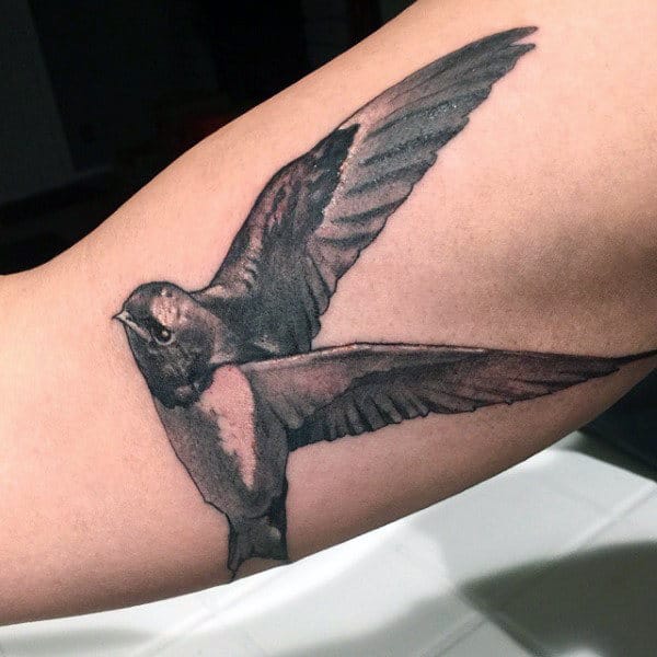 Graphic Work Of Sparrow Tattoo Male Forearms