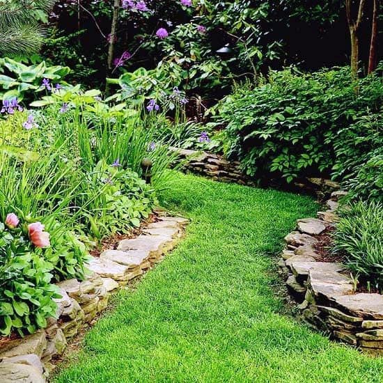 A charming garden walkway with stone edging, surrounded by lush greenery and vibrant flowers, leading through a tranquil path