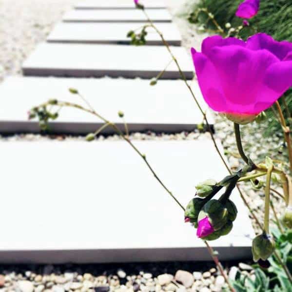 Gravel Slab Design Ideas Stepping Stone